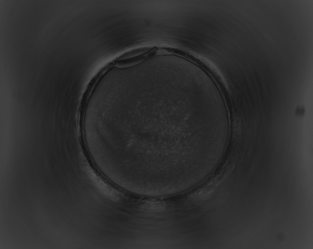 X0000091860935200710031037