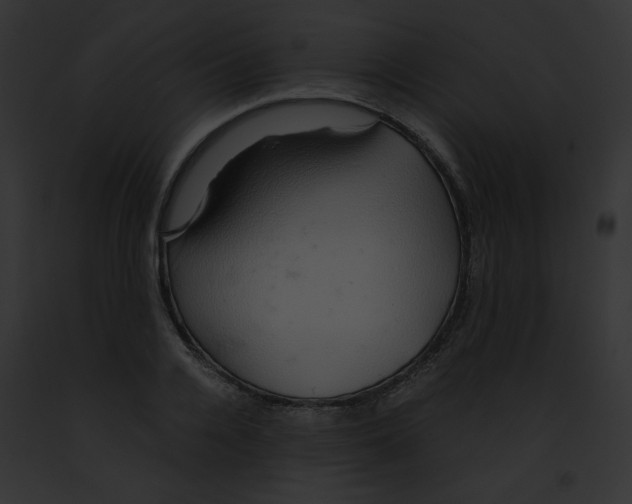 X0000091860936200710031037