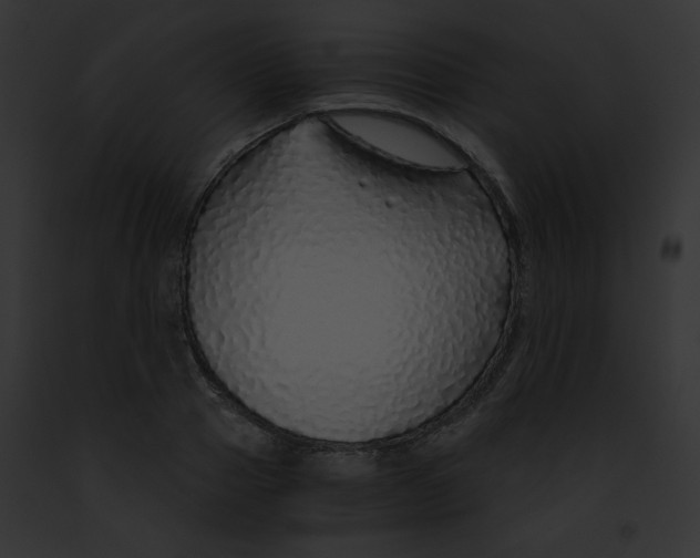 X0000091860937200710031037