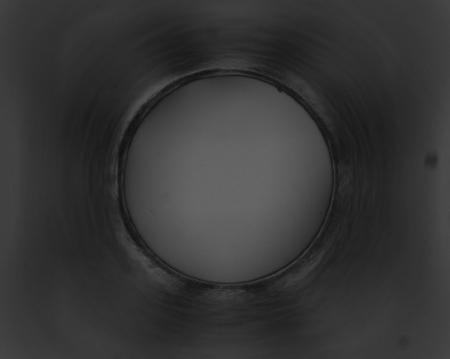 X0000091860939200710031037