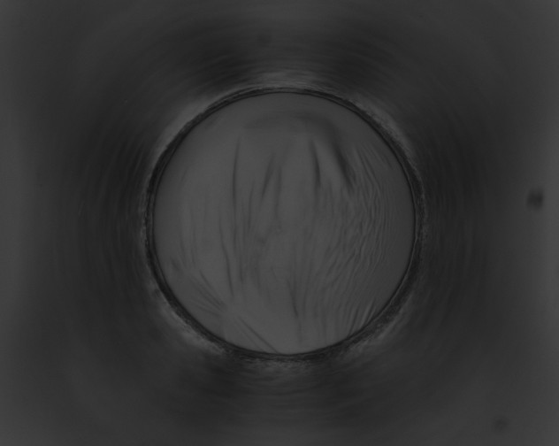 X0000091860941200710031037