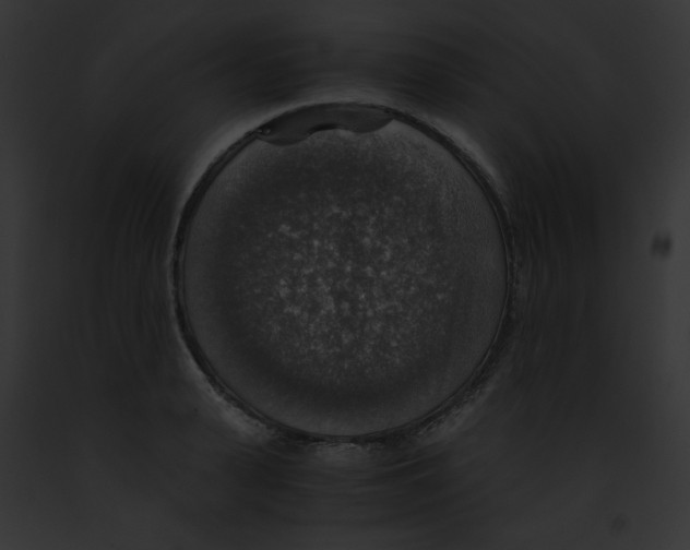 X0000091860943200710031037