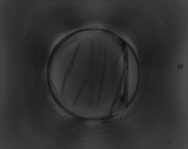 X0000091860944200710031037