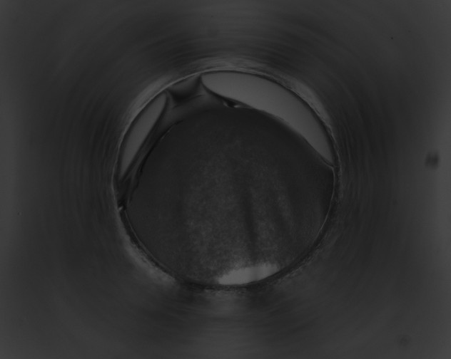 X0000091860946200710031037