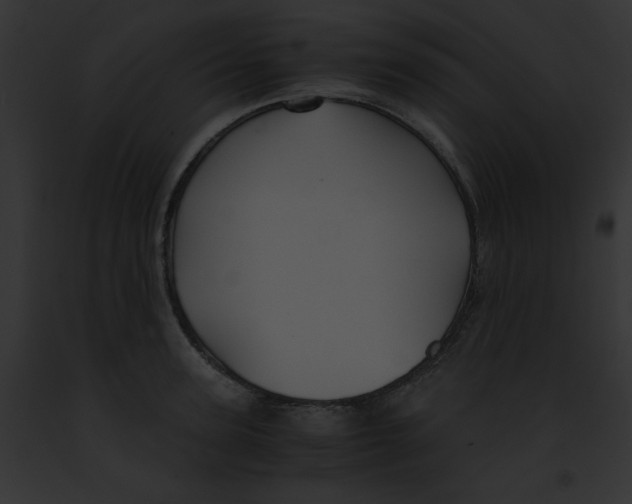 X0000091860947200710031037