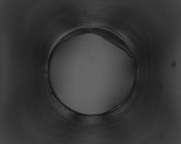 X0000091860948200710031037