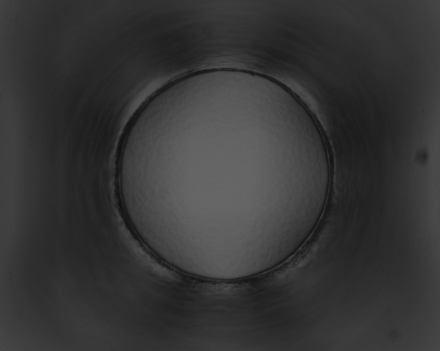 X0000091860949200710031037