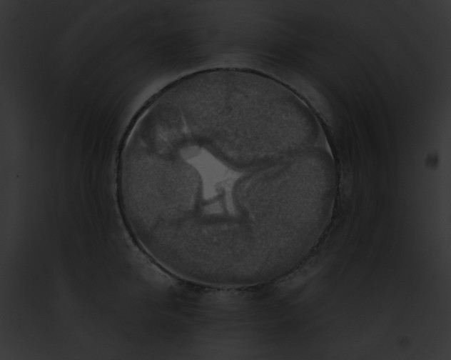 X0000091860950200710031037