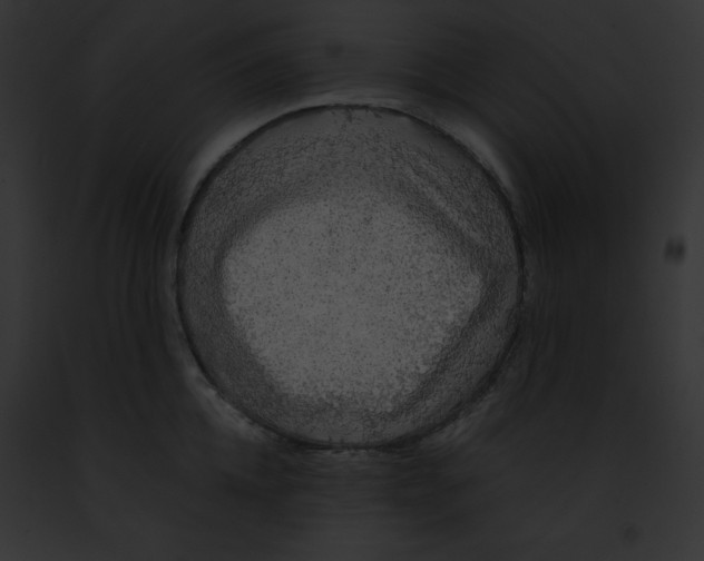 X0000091860952200710031037