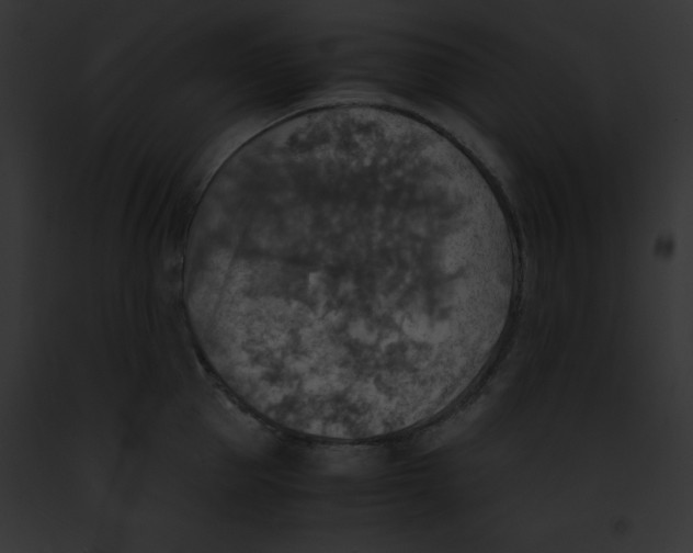 X0000091860953200710031037