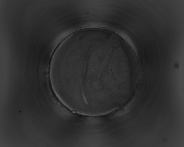 X0000091860954200710031037