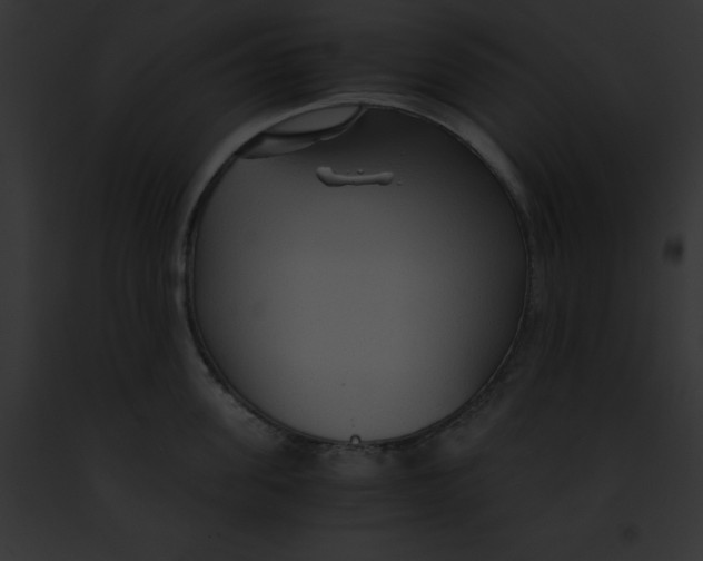 X0000091860955200710031037