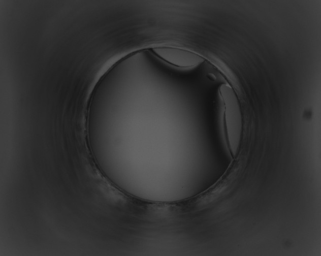 X0000091860956200710031037