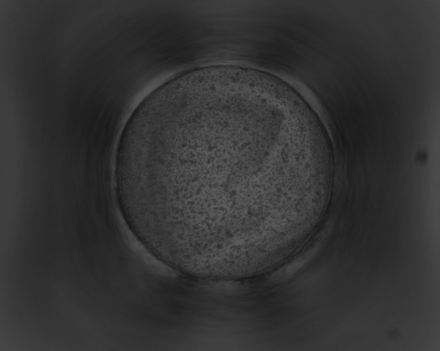 X0000091860957200710031037