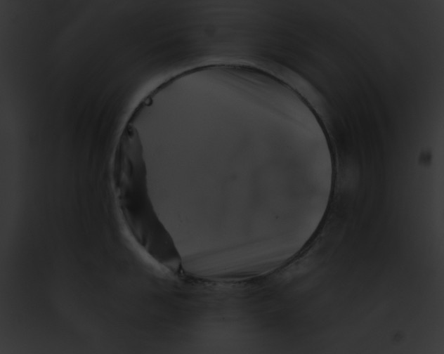 X0000091860958200710031037