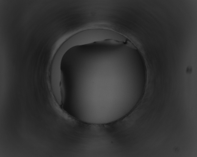 X0000091860960200710031038