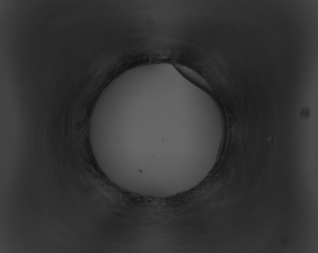 X0000091860961200710031037