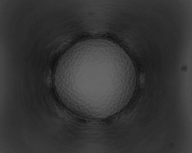 X0000091860963200710031037