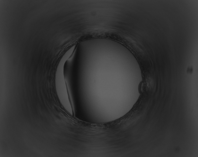 X0000091860964200710031037