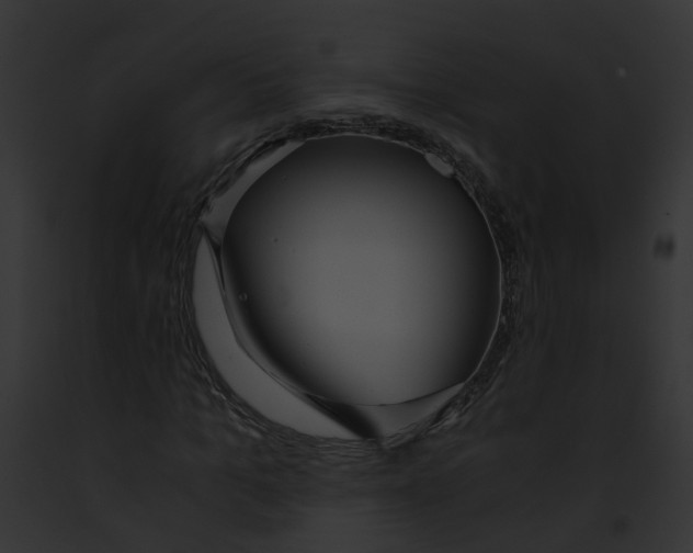 X0000091860965200710031037