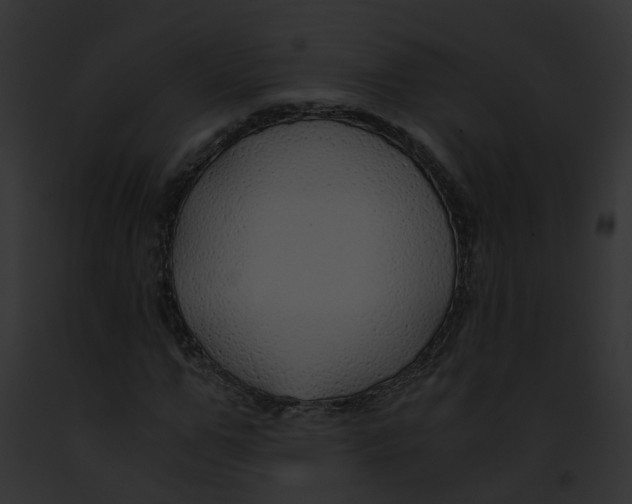 X0000091860967200710031037