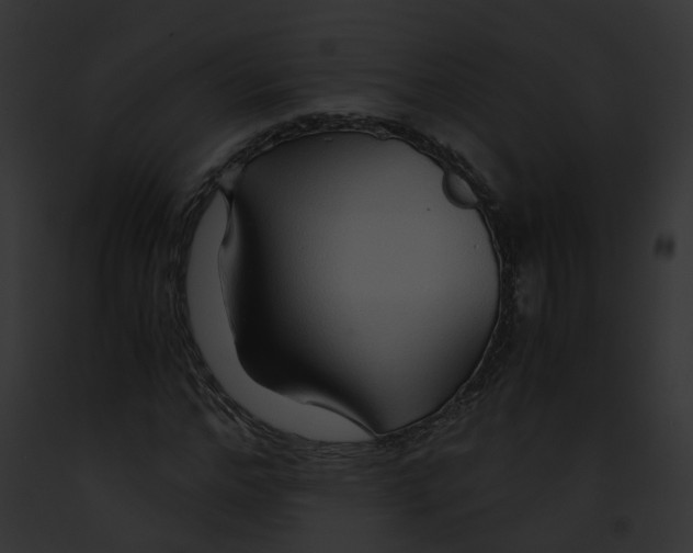 X0000091860968200710031037