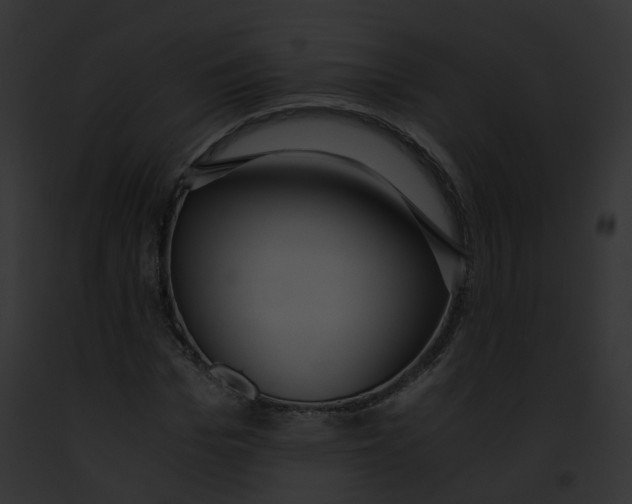 X0000091860969200710031037