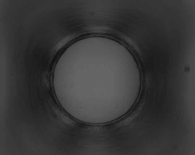 X0000091860970200710031037