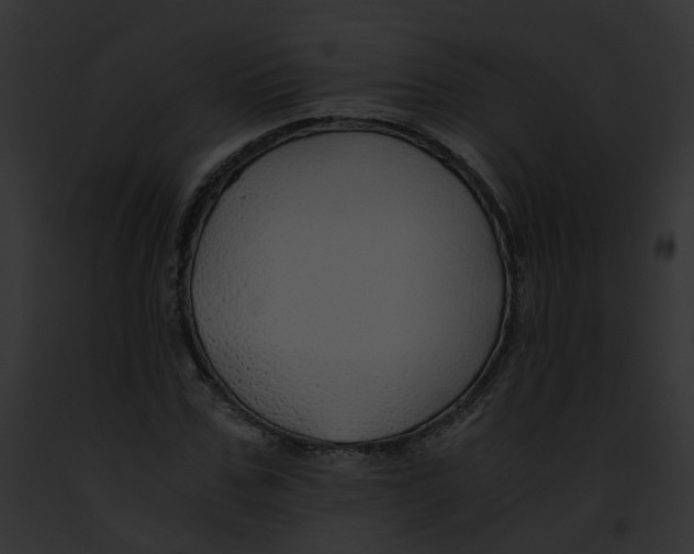 X0000091860971200710031037