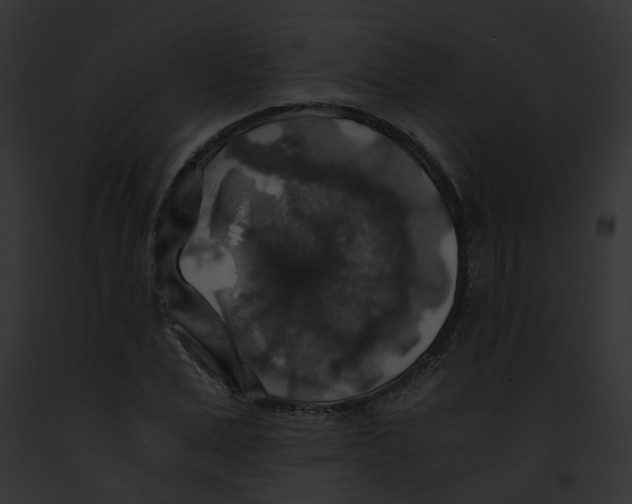 X0000091860975200710031037