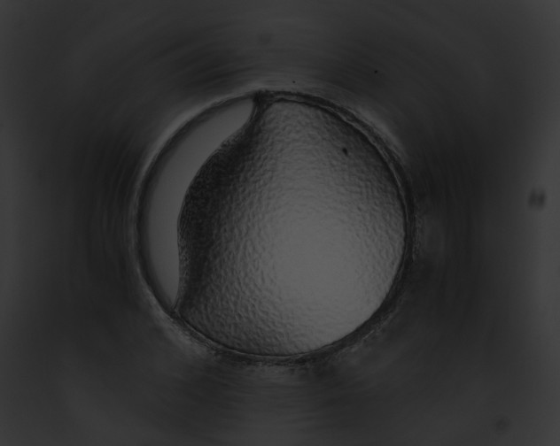 X0000091860976200710031037