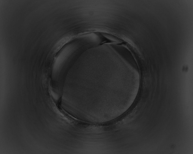 X0000091860977200710031037