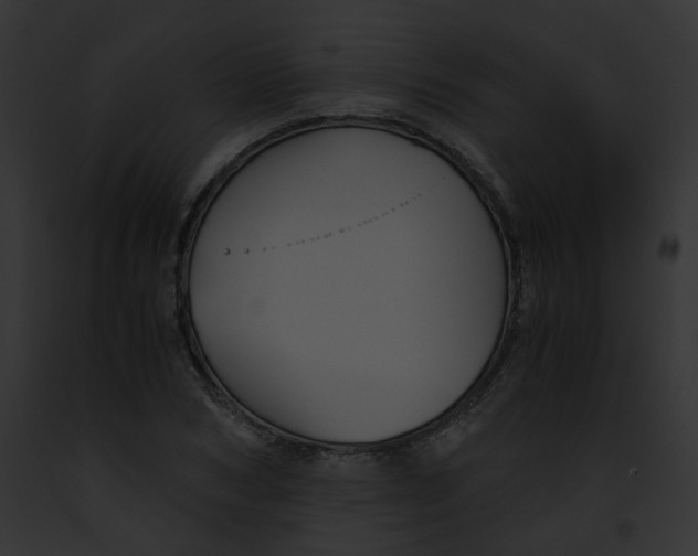 X0000091860978200710031037