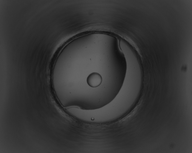 X0000091860981200710031036