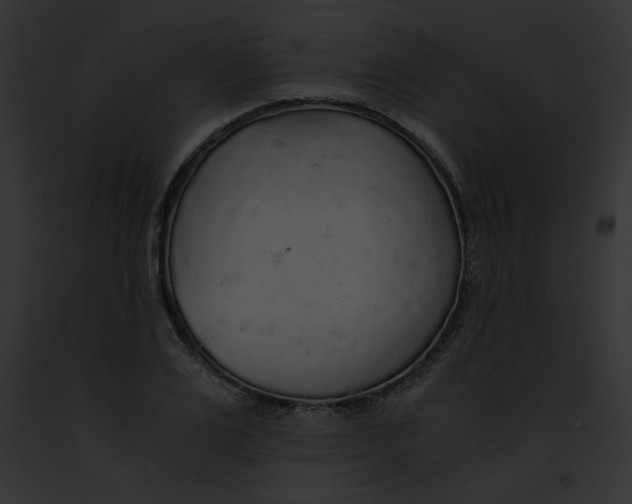 X0000091860983200710031036