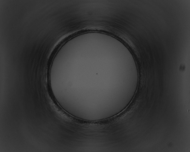 X0000091860984200710031036