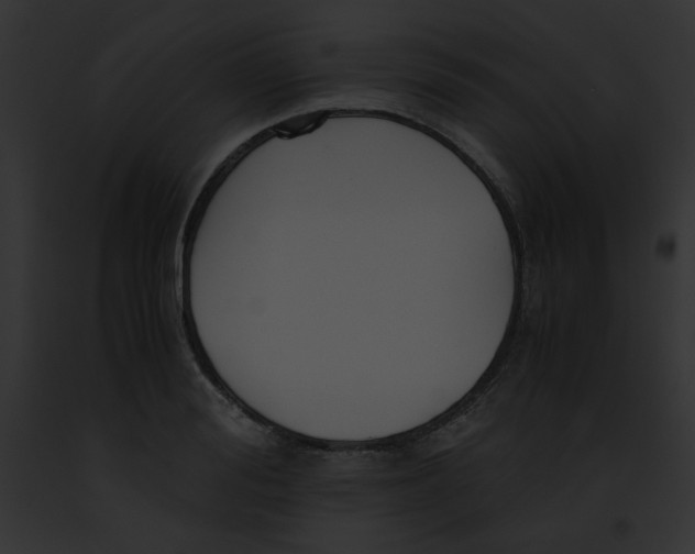 X0000091860988200710031036