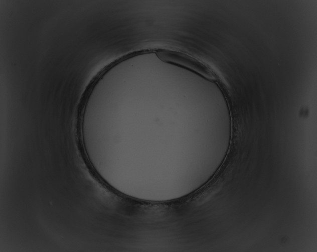 X0000091860991200710031036