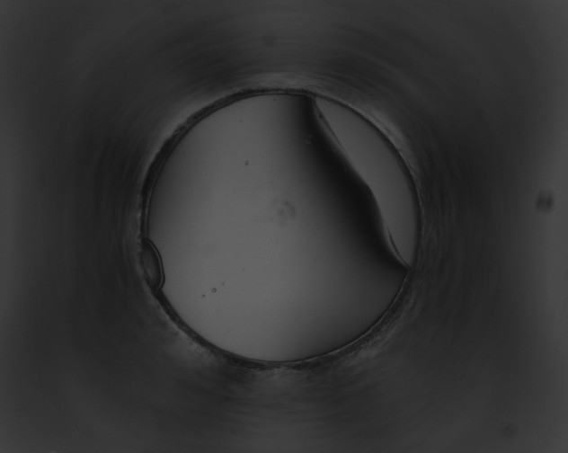 X0000091860992200710031036