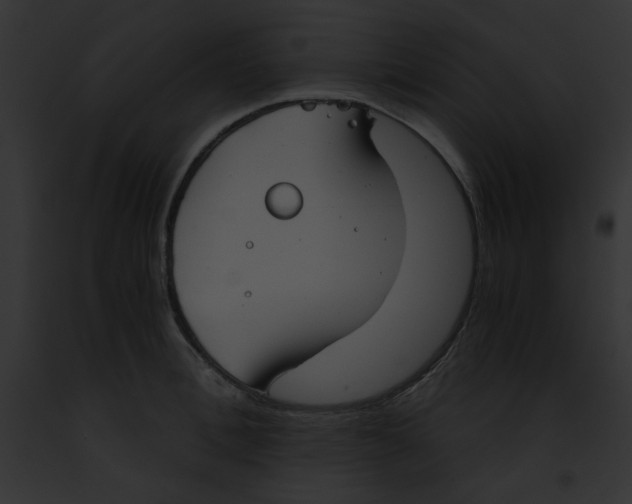 X0000091860996200710031036