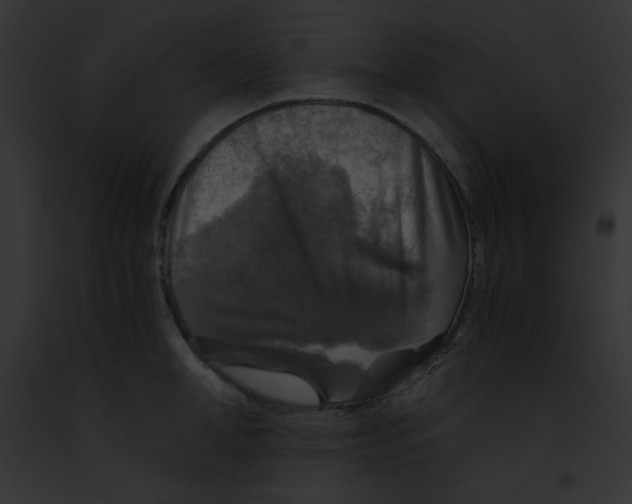 X0000091860998200710031036