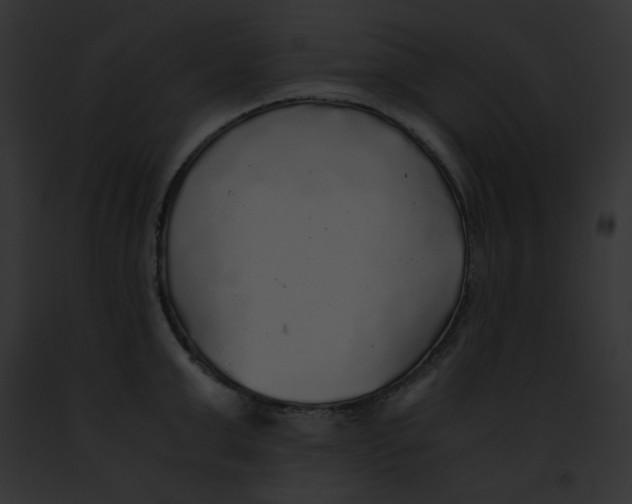 X0000091860999200710031036