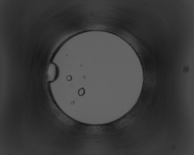 X0000091861000200710031036