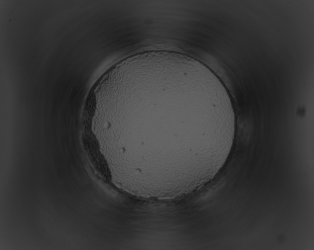 X0000091861002200710031036