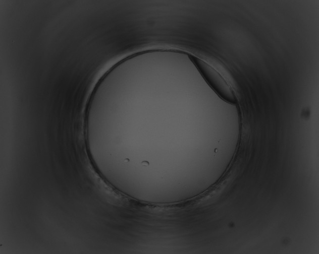 X0000091861004200710031036