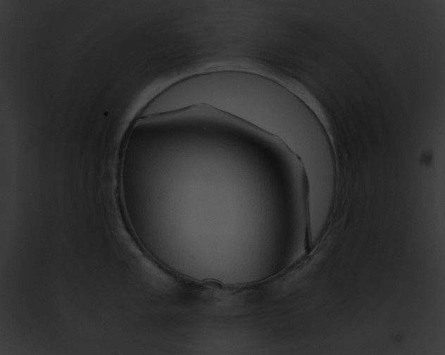 X0000091861005200710031036