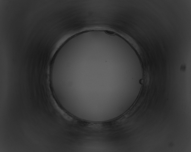 X0000091861006200710031036