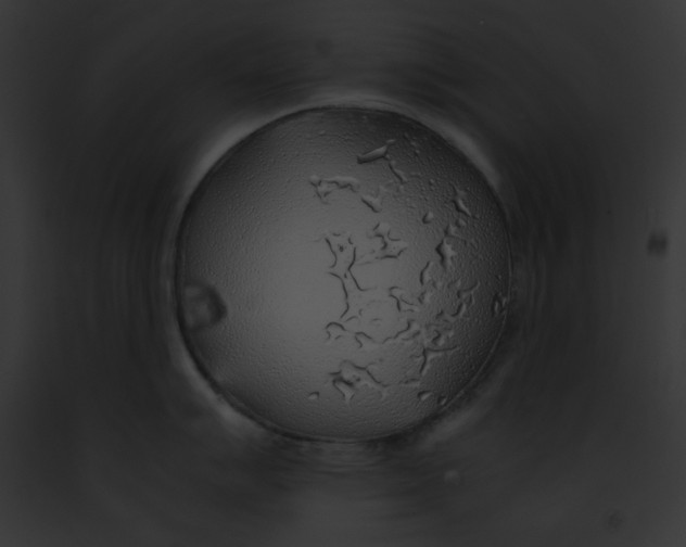 X0000091861007200710031036