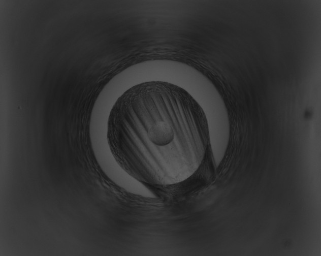 X0000091861010200710031036