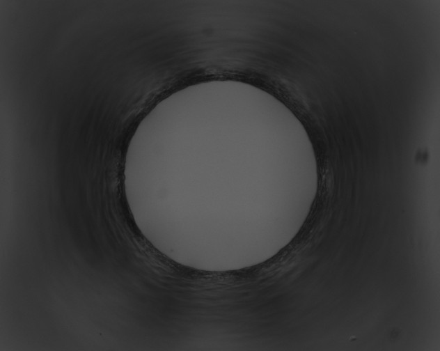 X0000091861012200710031036